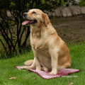 Super Absorbent Quick Dry Pet Towel